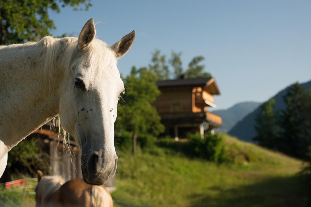 Ferienhaus Oetztal 索滕斯 外观 照片