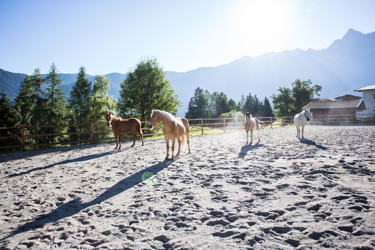 Ferienhaus Oetztal 索滕斯 外观 照片