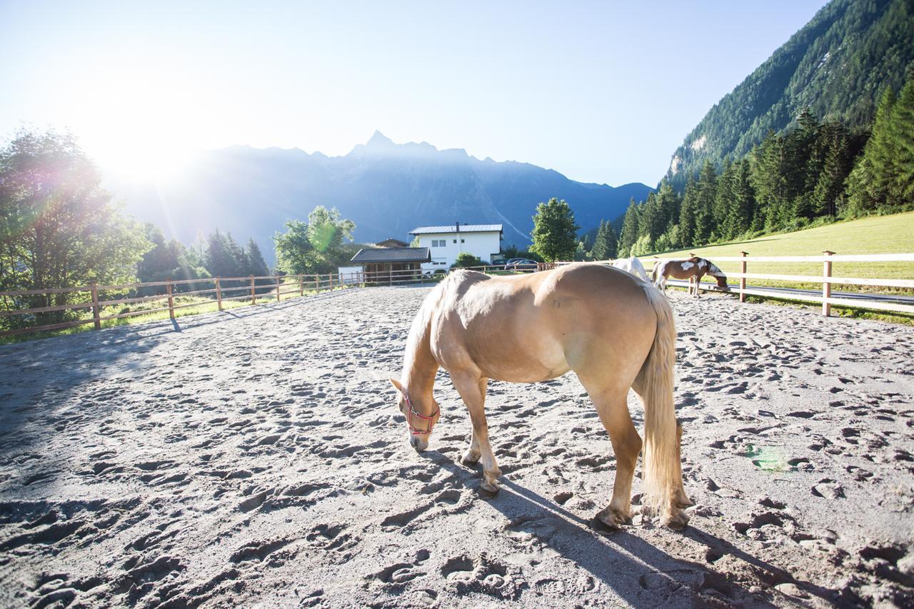 Ferienhaus Oetztal 索滕斯 外观 照片